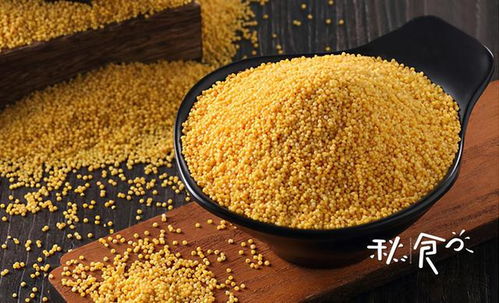 这5种 杂粮 营养极高,建议家里囤一点,煮饭煲粥,好吃又养人