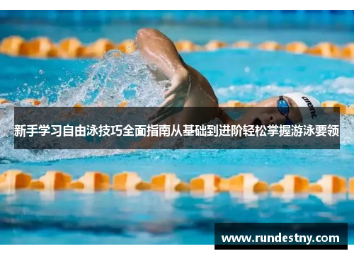 新手学习自由泳技巧全面指南从基础到进阶轻松掌握游泳要领