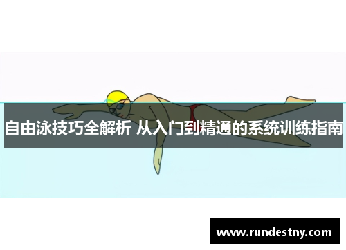 自由泳技巧全解析 从入门到精通的系统训练指南